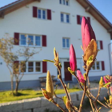 Viel Platz In Bernbach Διαμέρισμα Bidingen Εξωτερικό φωτογραφία